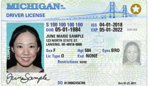 getting drivers license reinstated michigan